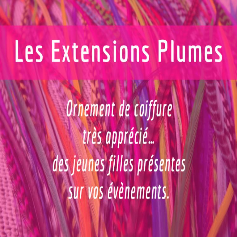 Extensions plumes - Grenoble - Région Paca, Rhônes Alpes et Midi Pyrenées