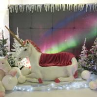 Studio photos - La licorne du Père Noël - Maquarella