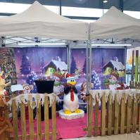 Stands maquillage et sculpture sur ballons - hiver 2019